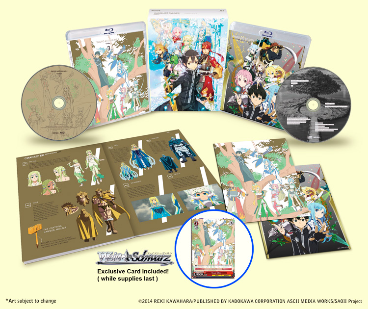 New Sword Art Online FULLDIVE First Limited Edition 2 DVD Booklet Japan
