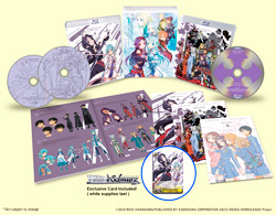 Sword Art Online Box 1 Assets